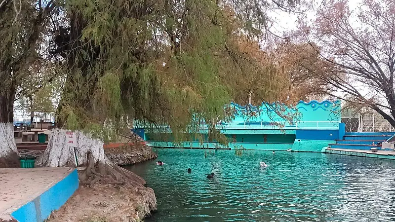 Ven a nadar al manantial de aguas cristalinas de Tarandacuao